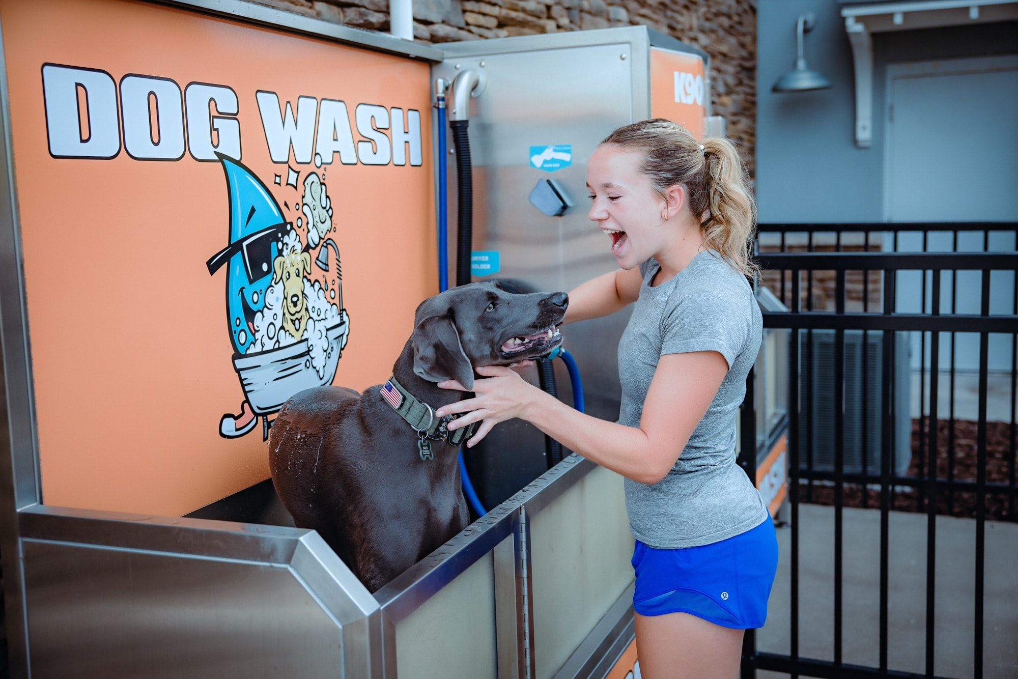 A laughing customer washing her Weimaraner in the raised tub at the H2Turbo self-serve dog wash station